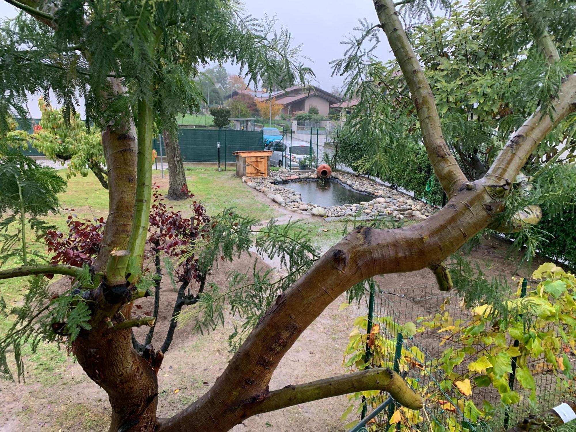 Bed & Breakfast Indi Thelar Villa Guardia Exterior photo